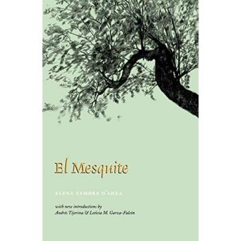 El Mesquite: Early Spanish Settlements in the Nueces-Rio Grande Region (Borderlands Culture and Traditions Series)