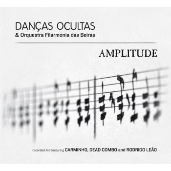 Amplitude