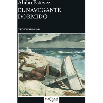 El navegante dormido: 11