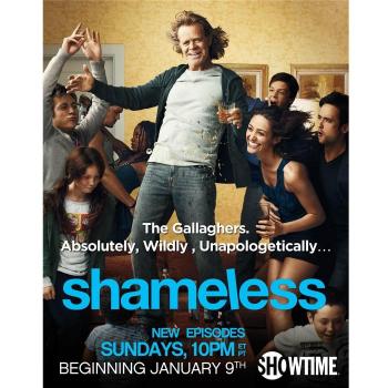 Shameless Poster On Silk <35cm x 44cm, 14inch x 18inch> - Cartel de Seda - 3D6B90
