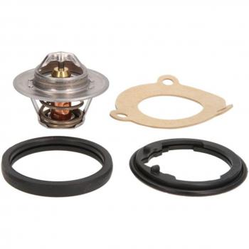 Termostato refrigerante CALORSTAT BY VERNET TH5962.82J