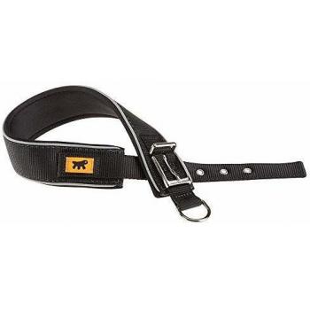 Collar para Perro Daytona Comfort 40 mm 45 cm Negro