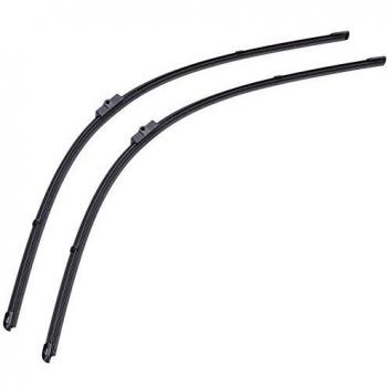 SWF 119383 Escobilla