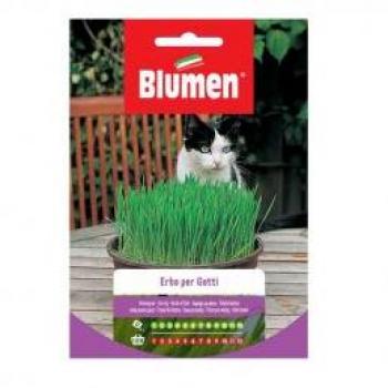 Semillas de Hierba Aromática para Gatos Blumen - Elimina Grumos de Pelo en el Estómago