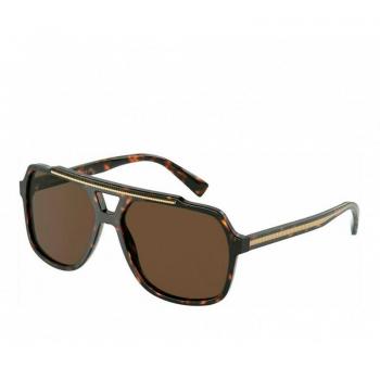 Dolce & Gabbana DG4388 502/73 Gafas de Sol para Hombre Tortoiseshell 60 Lentes