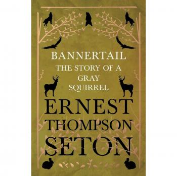 Bannertail: La Historia de una Ardilla Gris (Práctica, Banda 46) - Edición en Rústica