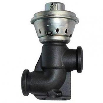 Magneti Marelli 571822112103 Válvula EGR