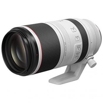 Canon RF 100-500mm f/4.5-7.1L IS USM Telephoto Zoom Lens - Used