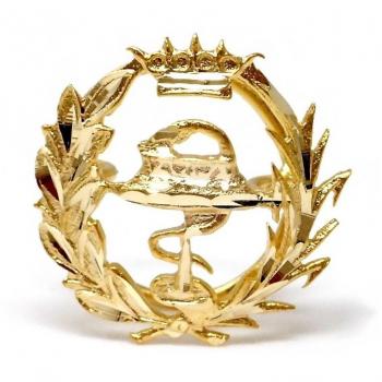 Insignia Profesional Escudo de Enfermería Plata Ley 925 - Pin Chapado en Oro 18k - 15mm