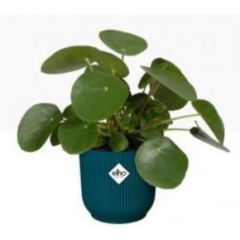 Maceta Elho Redonda Ø 25 cm Azul oscuro Plástico
