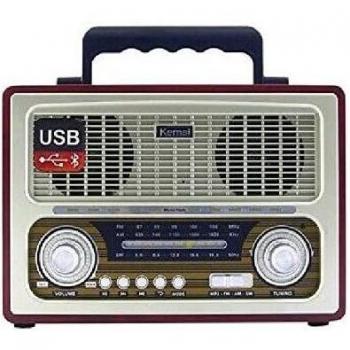 Radio Estéreo Portátil Bluetooth con Lector USB y Tarjetas SD/TF, Diseño Retro Madera (27 x 19 x 12,5 cm)