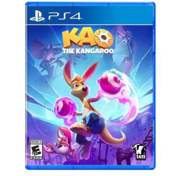 Espada del Nigromante - Juego Físico para Consola Sony PlayStation 4 PS4