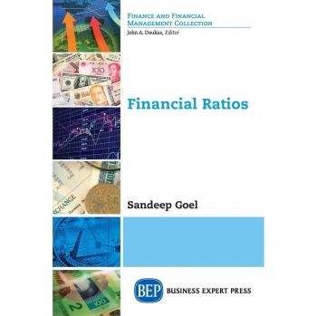 Ratios Financieros en Formato Tapa Blanda