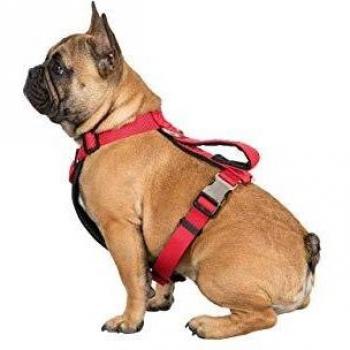 Trespass Arnés de Seguridad Tanked para Perro