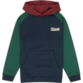 Sudadera con Capucha Element Cornell Script para Niños de 8 a 16 años