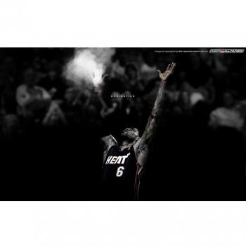 38x24 inch LeBron James Silk Poster Seda Cartel FGS1-31C