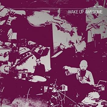 Wake Up Awesome [VINYL]