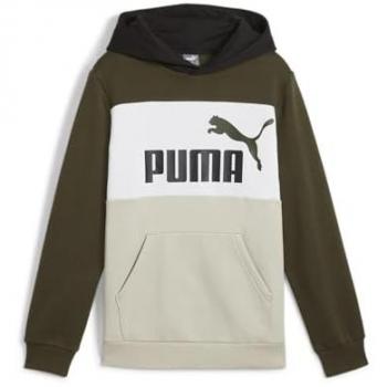 Sudadera Casual Deportiva Puma Essentials Block Verde para Niño (15-16 años) Algodón Sostenible