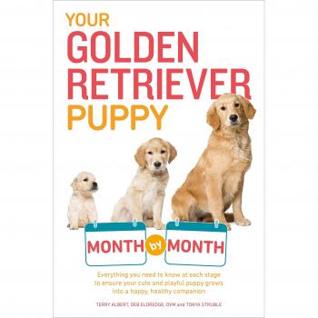 Your Golden Retriever Puppy Month by Month: Everything You Need to Know at Each Stage to Ensure Your Cute and Playful Puppy