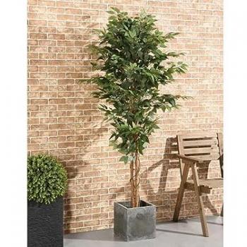 Ficus Artificial con Maceta - Altura 180 cm - VALOPA