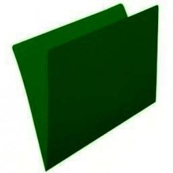 Subcarpeta PRAXTON Folio Verde, Pack x50