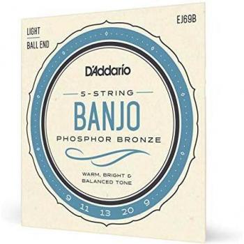 D'Addario EJ69 Light 9-20 Phosphor Bronze 5-String Ball End Banjo String
