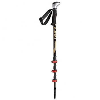 Leki FS Carbon - Monopie