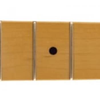 Fender American Professional II Telecaster Maple Neck with Deep C Profile