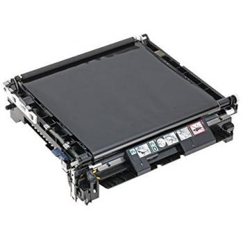 Epson C13S053024 - Unidad de Transferencia para Epson AL-C3800