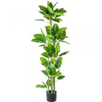 Planta Decorativa Alexandra House Living Plástico 160 cm