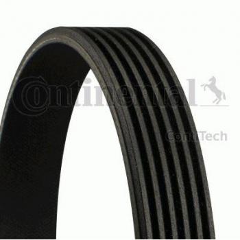 Correa acanalada en V CONTITECH 6PK1225, Correa trapecial poli V CONTITECH 6PK1225