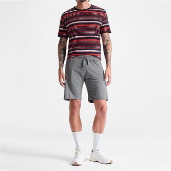 Bermuda de hombre Roderfield Astore en color gris para un estilo casual y moderno