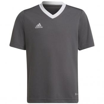 Camiseta de Fútbol Adidas Entrada 22 Infantil Gris 128 cm Unisex