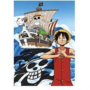 New Import Manta Polar 100X140 De One Piece 001, 001OP-PL