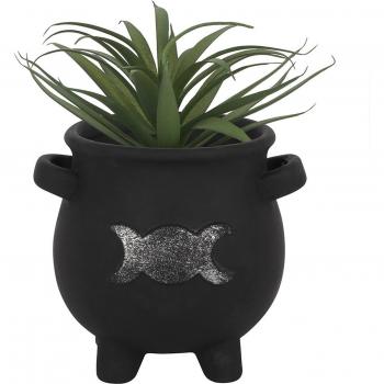 Maceta de Terracota con Triple Luna - Estilo Mágico y Elegante