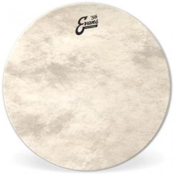 Evans 56 Calftone 24 Bass Drum Head