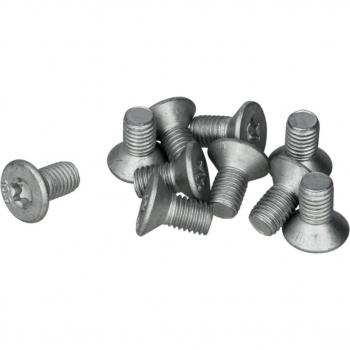 Tornillo de fijación para disco de freno DELPHI BGK012