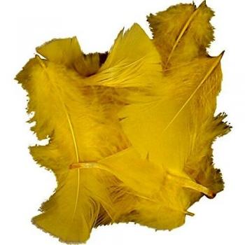 Dun Amarillo 7-8 cm, 500 G, 1 Paquete