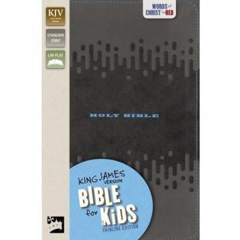 KJV Bible for Kids, Imitation Leather, Charcoal
