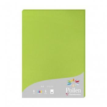 Papel para impresora de inyección de tinta Pollen Clairefont 3329680242157