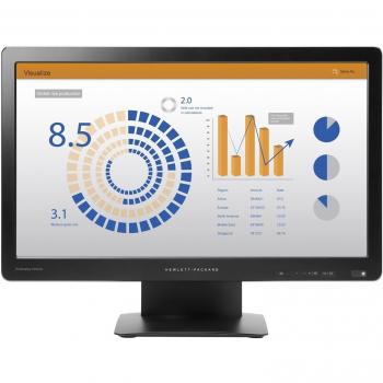 HP ProDisplay P202va VA 19.53 Negro Full HD Matt - Monitor