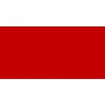 Vallejo Acrylic Fluid Color 68419 Naphtol Red Light