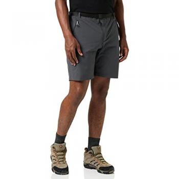 Regatta Men's Xert Stretch III Grey Hiking Shorts
