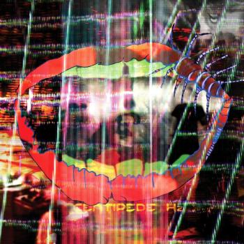 Animal Collective Centipede Hz Vinyl
