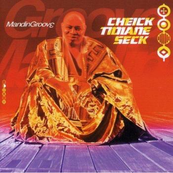 Mandingroove - Cheick Tidiane Seck