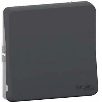 Schneider Electric MUR37021 Conmutador, IP55, Gris