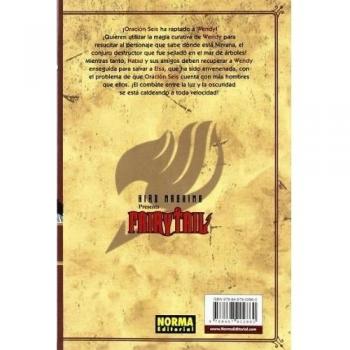FAIRY TAIL 17
