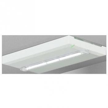 CEAG FT2SE400ATL18 LED Emergency Exit Sign Light 400lm, IP43, 1-8 Hour Battery Backup