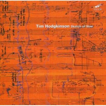 Hodgkinson : Sketch of Now