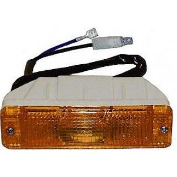 Van Wezel 5810913 Intermitentes para Automóviles, amarillo